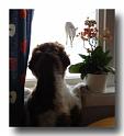 090401 Ludde